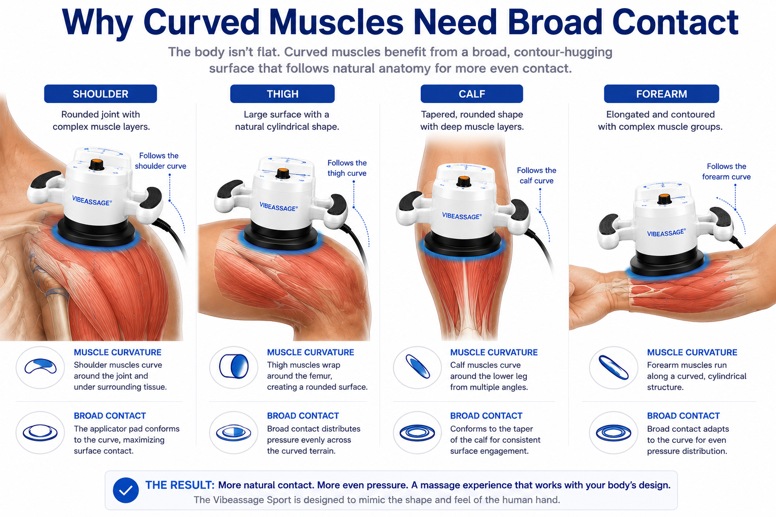 Curved muscles and broad contact visual