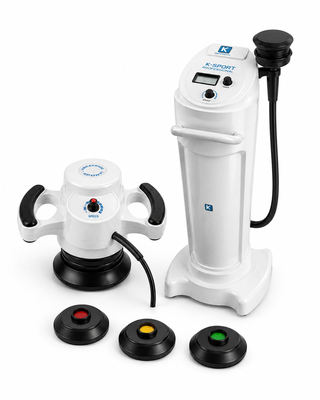 Complete Biomimetic System